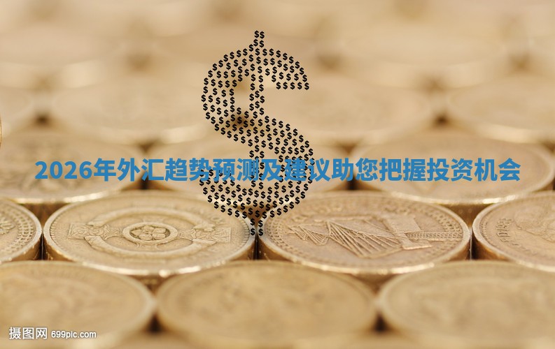 2026年外汇趋势预测及建议助您把握投资机会