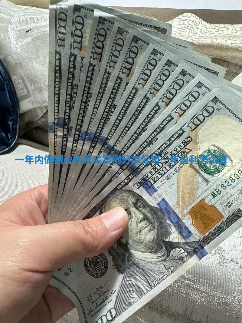 一年内做到盈利真实案例分享_公司一年盈利怎么算