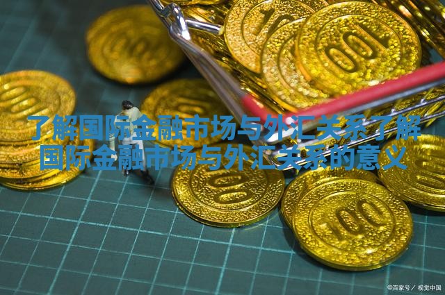 了解国际金融市场与外汇关系 了解国际金融市场与外汇关系的意义
