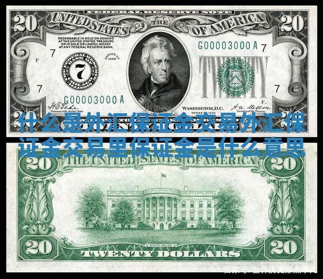 什么是外汇保证金交易_外汇保证金交易里保证金是什么意思