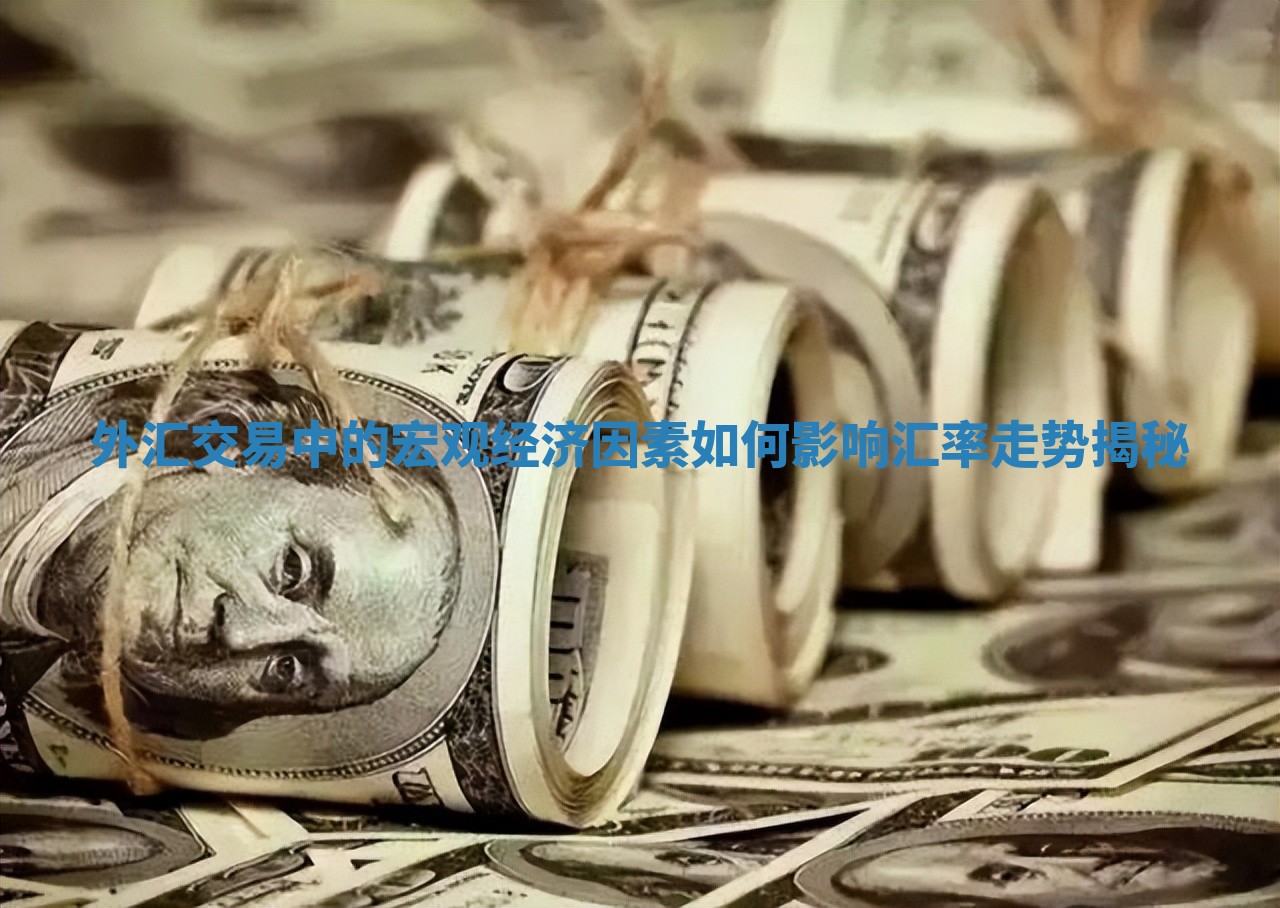 外汇交易中的宏观经济因素如何影响汇率走势揭秘