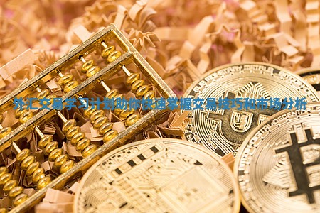 外汇交易学习计划助你快速掌握交易技巧和市场分析