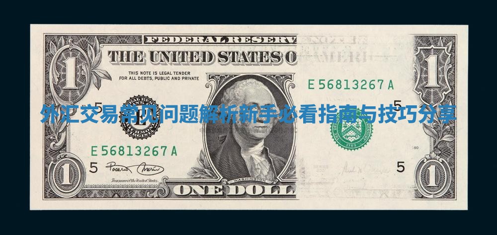 外汇交易常见问题解析 新手必看指南与技巧分享