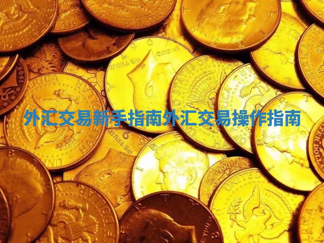 外汇交易新手指南_外汇交易操作指南