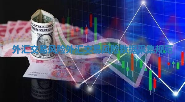 外汇交易风险 外汇交易风险数据采集规范