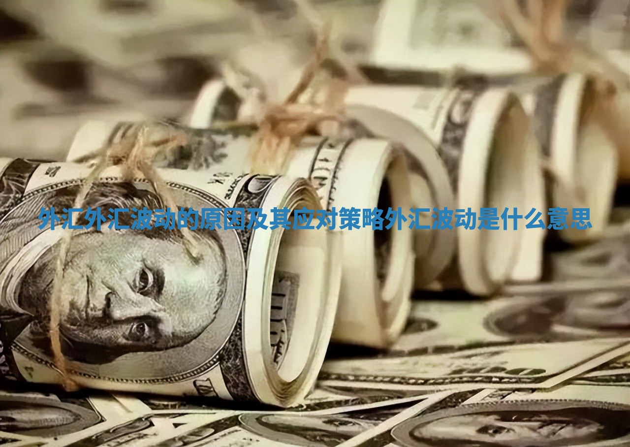 外汇外汇波动的原因及其应对策略 外汇波动是什么意思