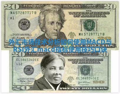 外汇市场技术分析如何使用MACD与RSI_外汇macd指标使用技巧口诀