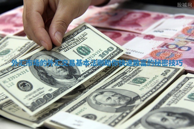 外汇市场的外汇交易基本法则助你快速致富的秘密技巧