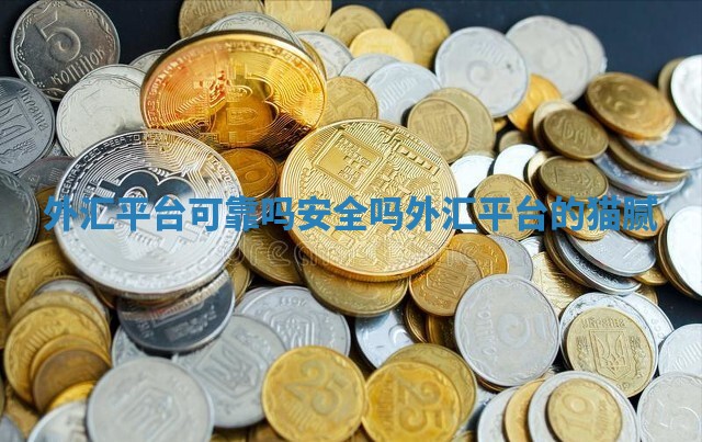 外汇平台可靠吗安全吗_外汇平台的猫腻