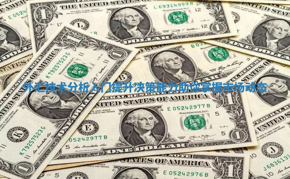 外汇技术分析入门提升决策能力助你掌握市场动态