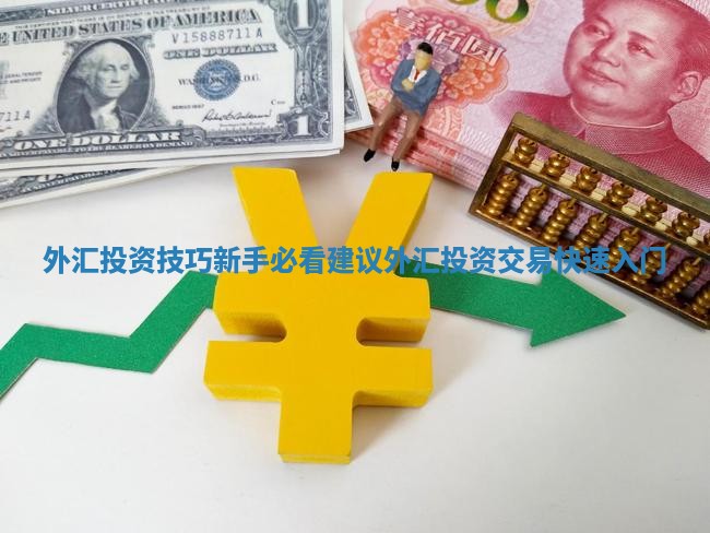 外汇投资技巧新手必看建议_外汇投资交易快速入门
