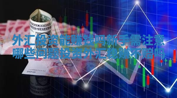 外汇投资能赚钱吗新手需注意哪些问题 投资外汇稳赚不赔吗