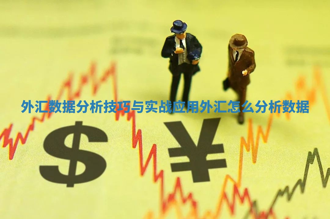 外汇数据分析技巧与实战应用 外汇怎么分析数据