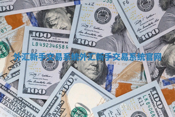 外汇新手交易系统 外汇新手交易系统官网