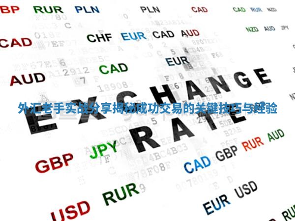 外汇老手实战分享揭秘成功交易的关键技巧与经验