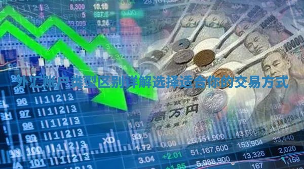 外汇账户类型区别详解选择适合你的交易方式