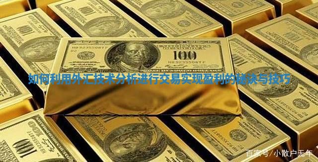 如何利用外汇技术分析进行交易实现盈利的秘诀与技巧