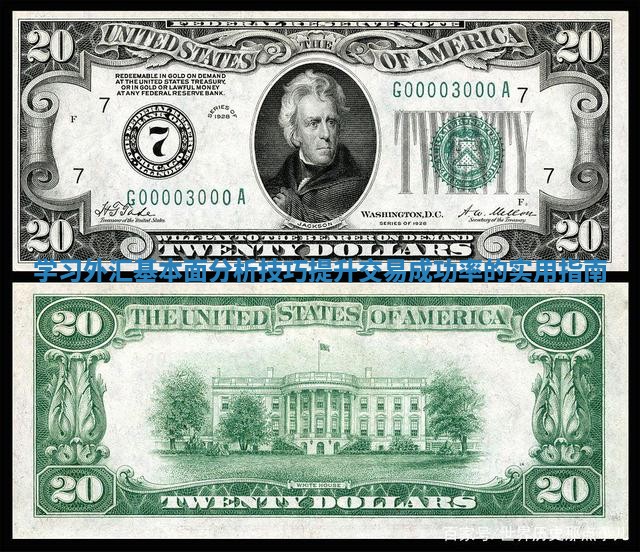 学习外汇基本面分析技巧提升交易成功率的实用指南