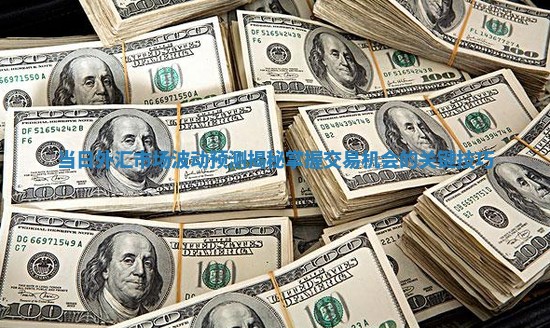 当日外汇市场波动预测揭秘掌握交易机会的关键技巧