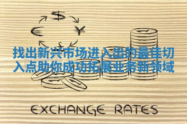 找出新兴市场进入出的最佳切入点助你成功拓展业务新领域