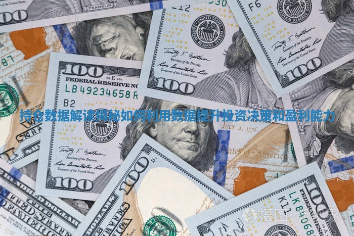持仓数据解读揭秘如何利用数据提升投资决策和盈利能力