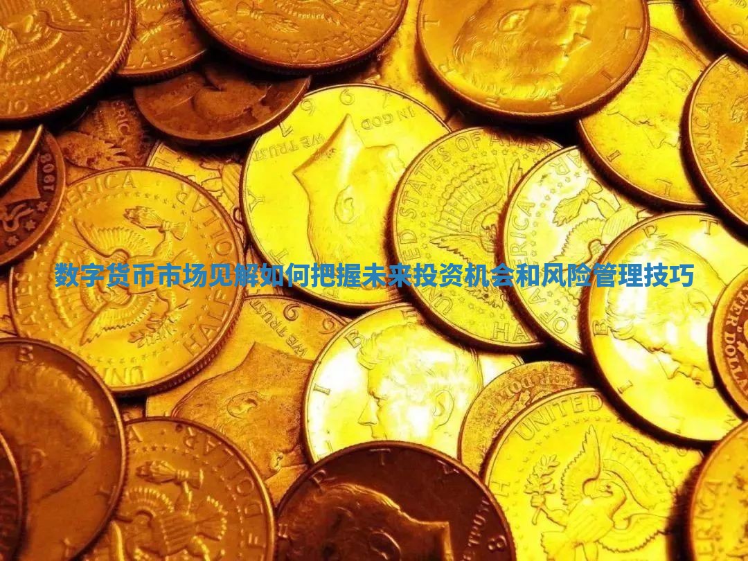 数字货币市场见解如何把握未来投资机会和风险管理技巧