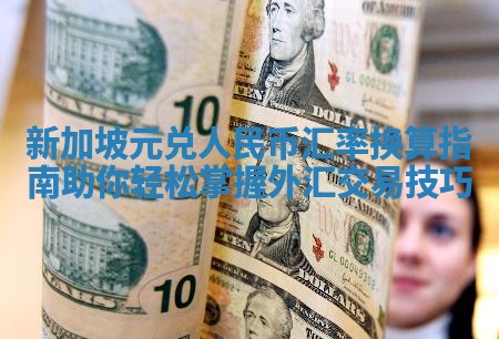 新加坡元兑人民币汇率换算指南助你轻松掌握外汇交易技巧