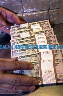 新手外汇交易入门指南助你快速掌握交易技巧与策略