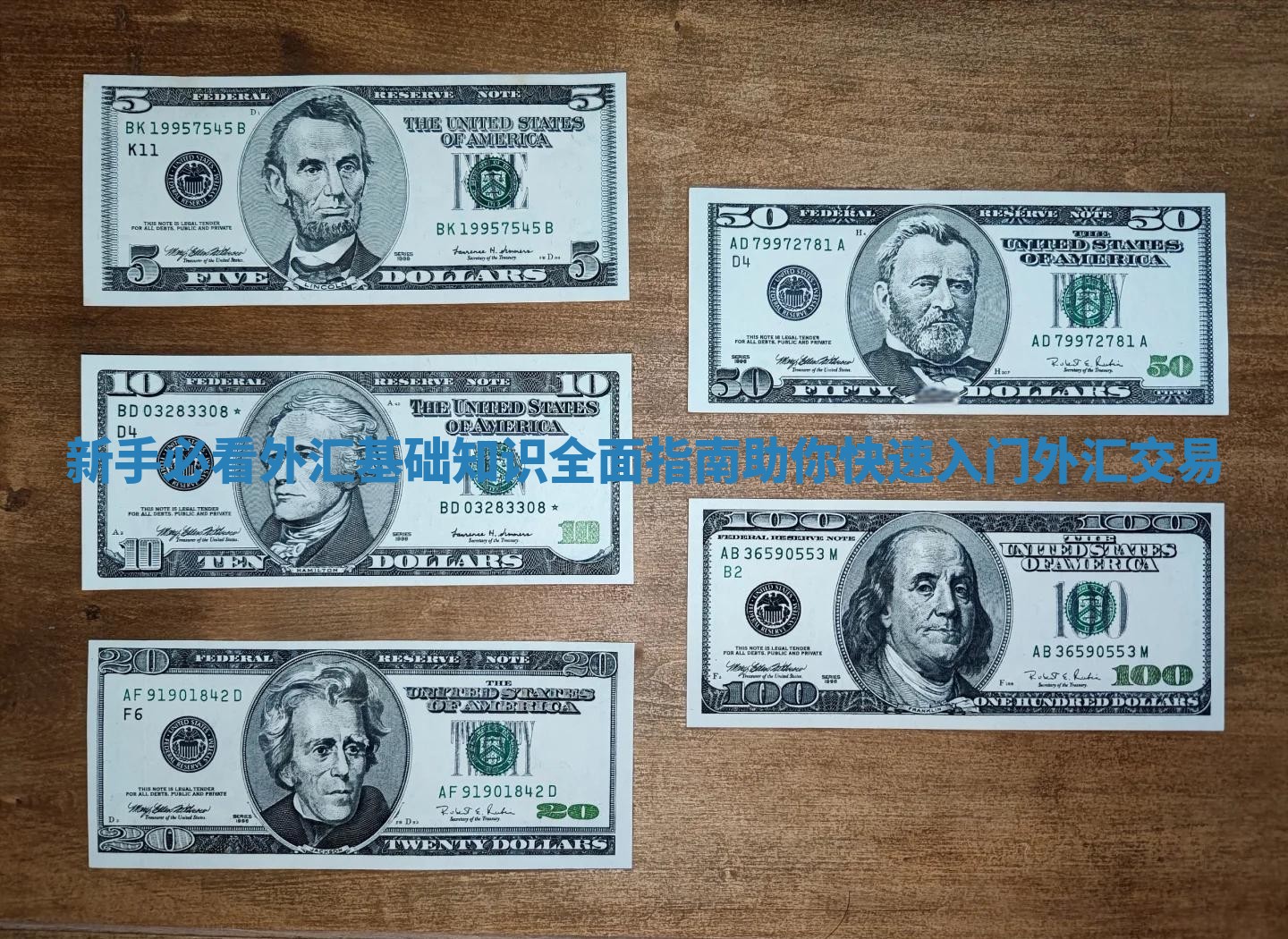 新手必看外汇基础知识全面指南助你快速入门外汇交易