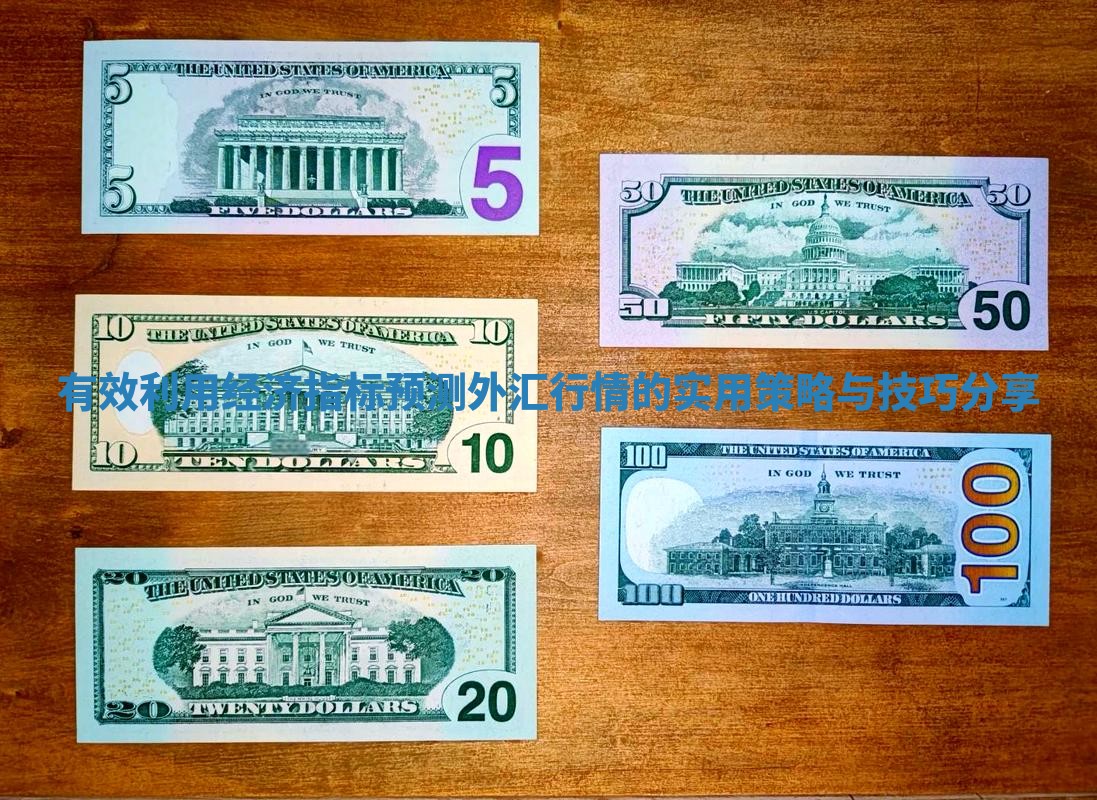 有效利用经济指标预测外汇行情的实用策略与技巧分享