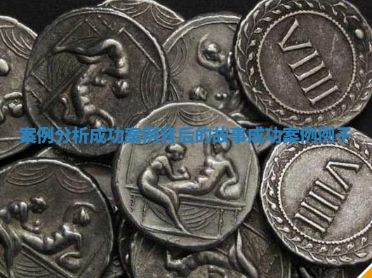案例分析成功案例背后的故事 成功案例例子