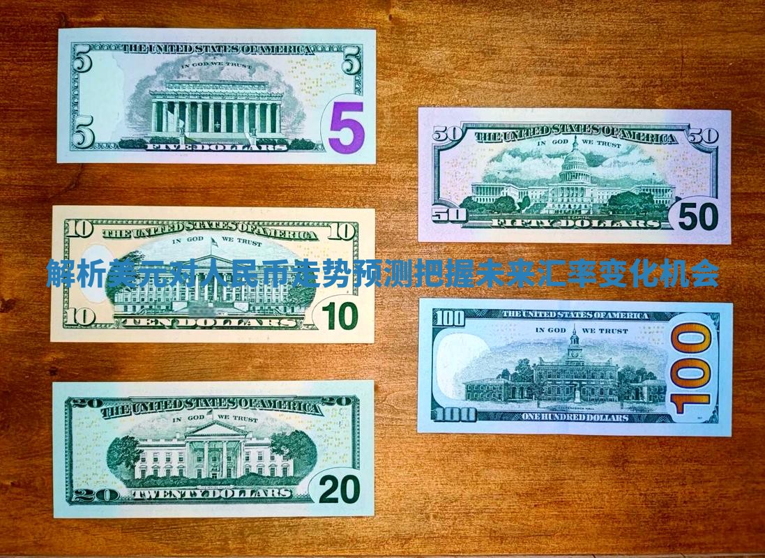 解析美元对人民币走势预测把握未来汇率变化机会
