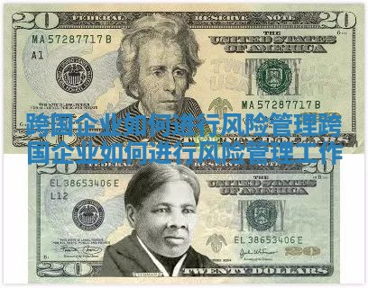 跨国企业如何进行风险管理 跨国企业如何进行风险管理工作