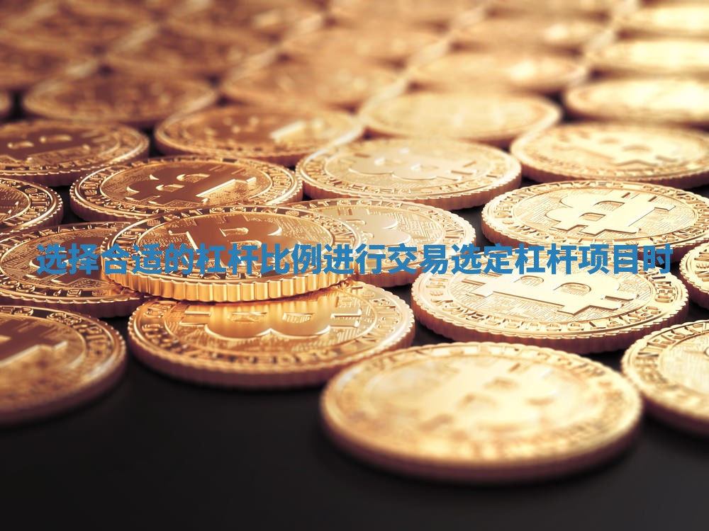 选择合适的杠杆比例进行交易_选定杠杆项目时